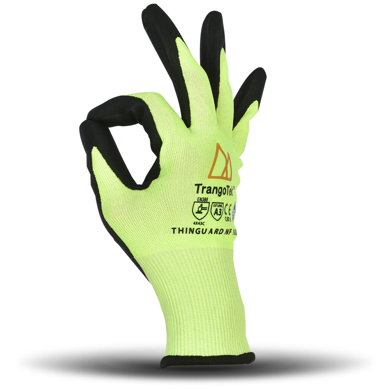 ThinGuard NF 18A3