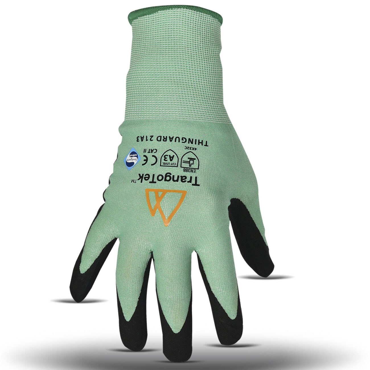 ThinGuard 21A3