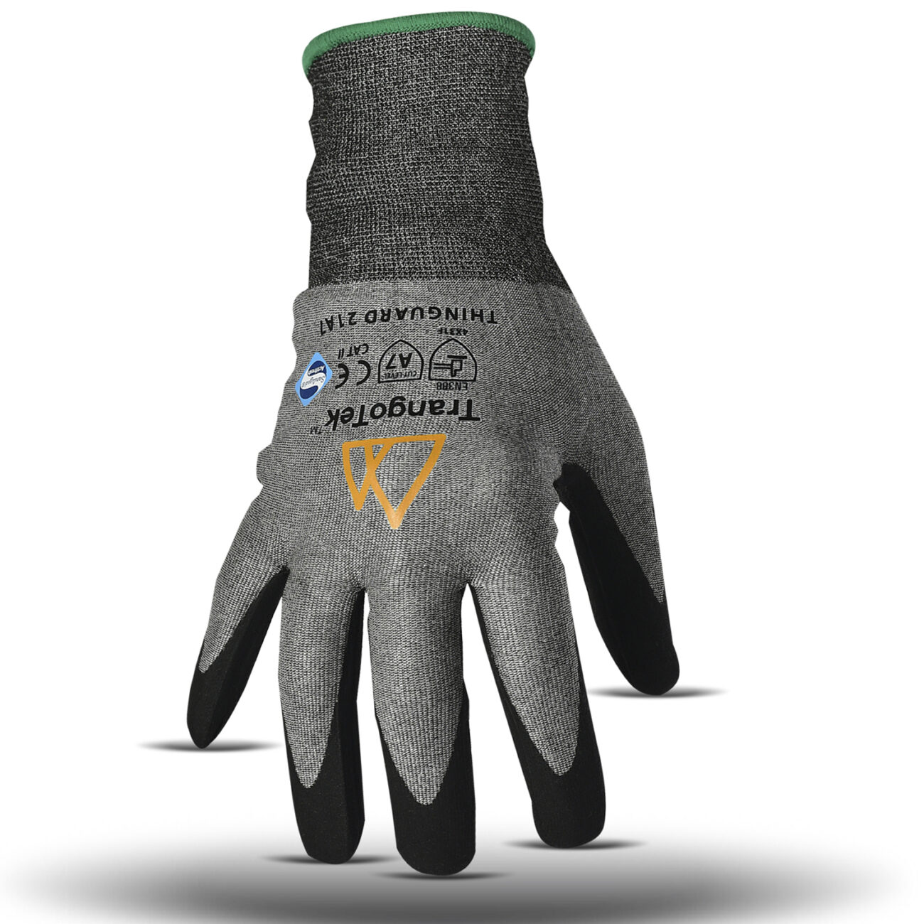 ThinGuard 21A7